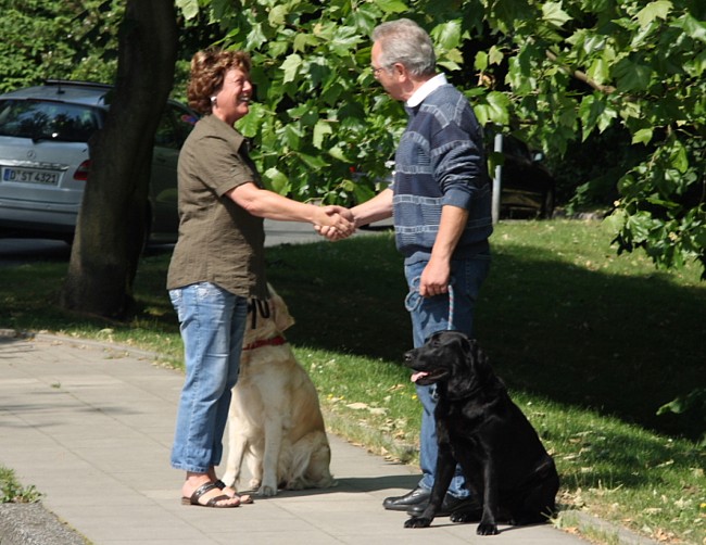 Labrador Begleithundeprüfung Teil B. Gesprächssituation.