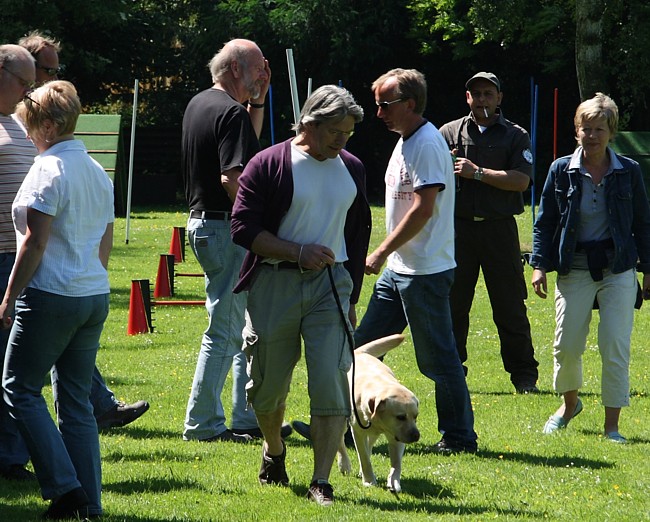 Begleithundeprüfung Labrador: Leinenführigkeit.