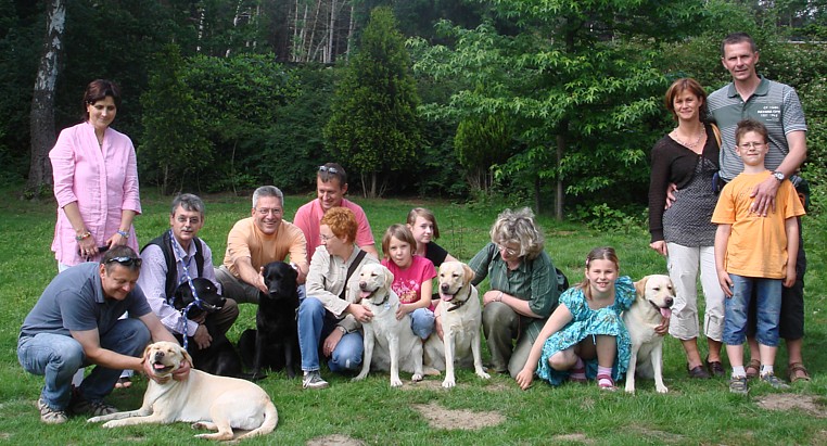 Labrador-Retriever-Welpen-Zucht vom alten Steinhaus