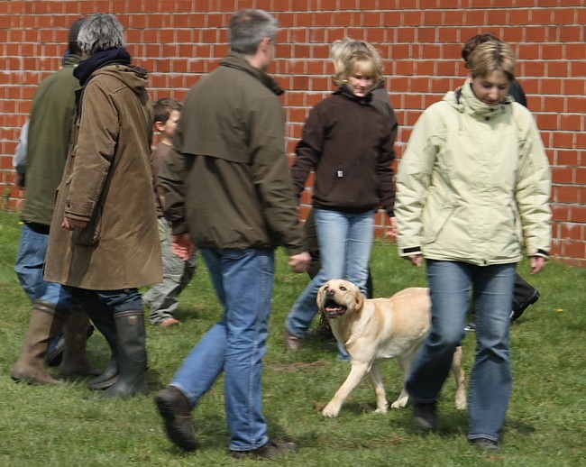 6. Aufgabe Labrador-Wesenstest: Begegnung mit Fremdpersonen.