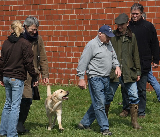 6. Aufgabe Labrador-Wesenstest: Begegnung mit Fremdpersonen.