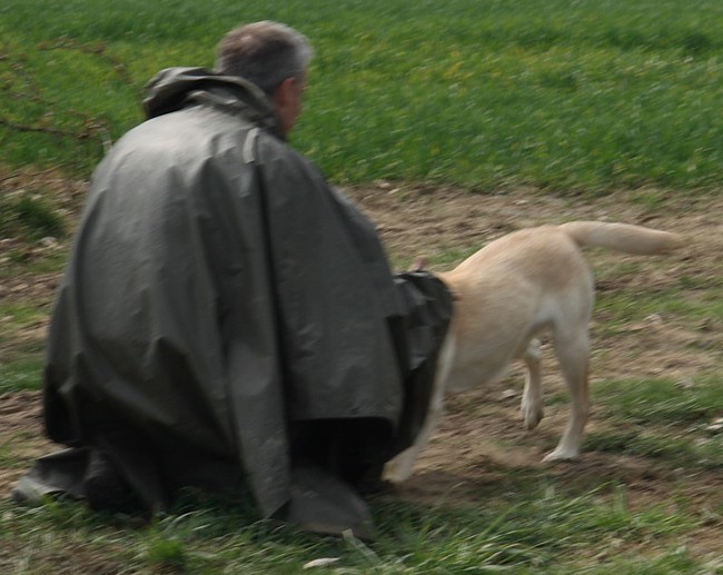 9. Aufgabe Labrador-Wesenstest: Verhalten gegenüber optischen und akustischen Umwelteinflüssen.uuml;ssen.