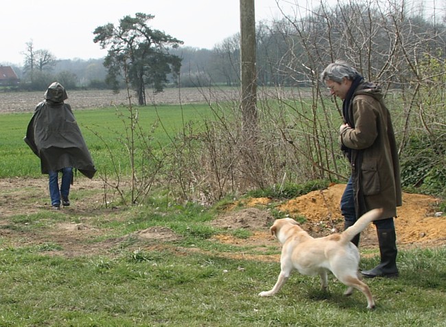 9. Aufgabe Labrador-Wesenstest: Verhalten gegenüber optischen und akustischen Umwelteinflüssen.uuml;ssen.