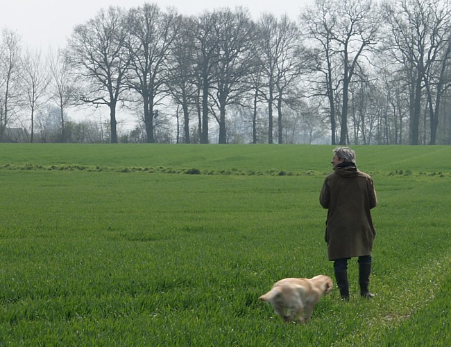 1. Aufgabe Labrador-Wesenstest: Der Spaziergang.