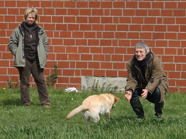 2. Aufgabe Labrador-Wesenstest: Spiel mit dem Führer ohne Gegenstand.tand.